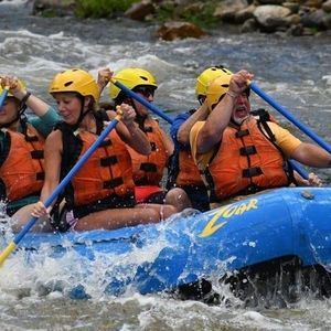 Meet your Posher, Roger